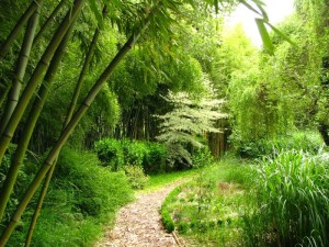 Garden Planbuisson