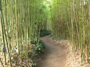 Garden Planbuisson