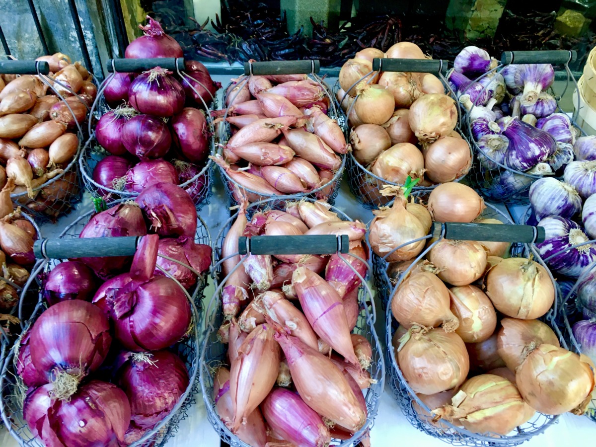 Dordogne Markets